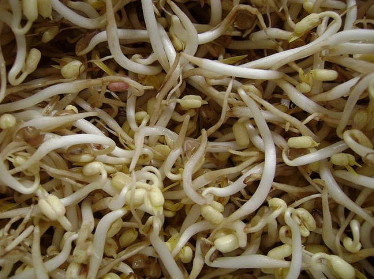Bean sprouts are seen in a file photo.