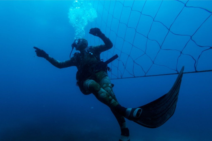 Dozens of South African beaches use shark nets, which activists say are ineffective and harm wildlife