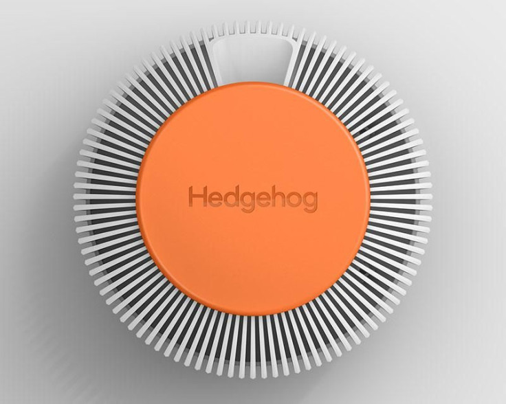 hedgehog-3