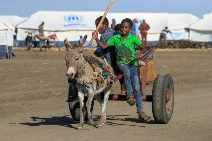 Thousands of Ethiopian refugees have fled the Tigray conflict and reached the Tenedba camp in Mafaza, eastern Sudan