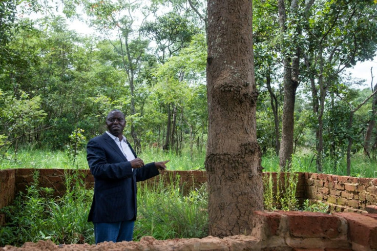Historian Guillaume Nkongolo at the foot of the tree that his research says is the exact place where Lumumba was killed