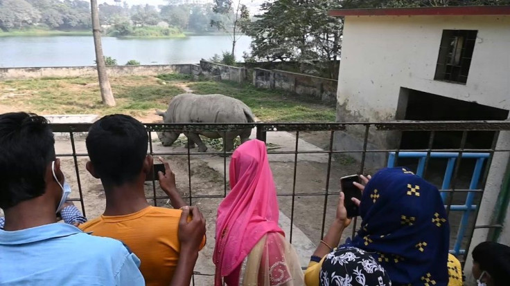 Authorities at Bangladesh's largest zoo plans to import partners for lonely animals living out their lives in solitude at the Bangladesh National Zoo in the northern suburb of the capital Dhaka.