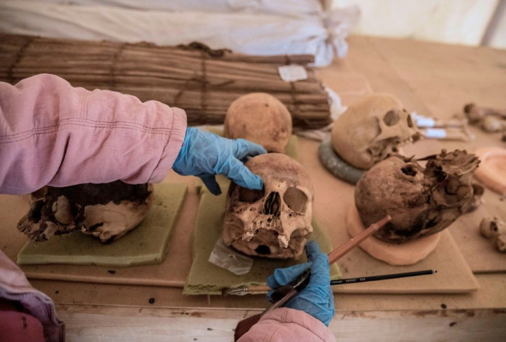 Objects including human skulls and bones were displayed to the press on Sunday, while excavations of the site are ongoing