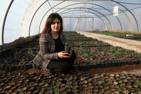 Iraqi Kurd Delband Rawanduzi hopes to plant one million oaks over the next five years to repopulate forests in Iraqi Kurdistan