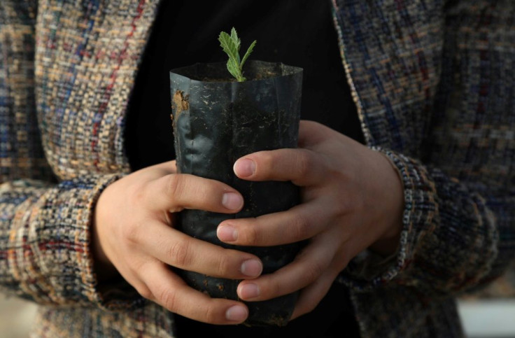 Some two million acres  of natural and manmade forests in the Kurdish region have been destroyed in the past two decades