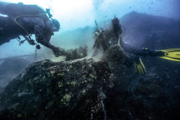Divers untangle a fishing net caught around a reef off the coast of Thailand