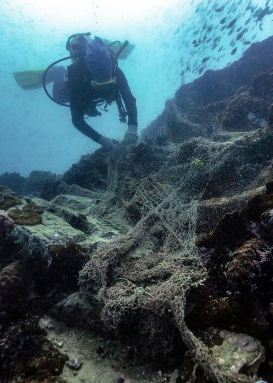 Net Free Seas aims to prove that protecting sea creatures can be commercially viable in Thailand