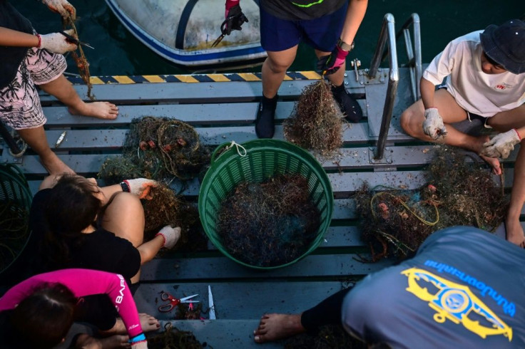 Sea creatures have less than a 10 percent chance of survival when they get caught in nets, the director of Thailand's marine park management agency says