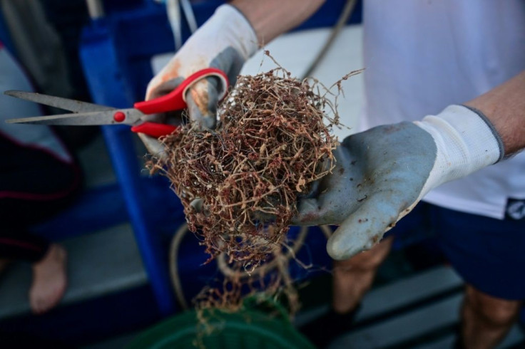 Net Free Seas has salvaged 15 tons of waste netting from sea waters in its first year