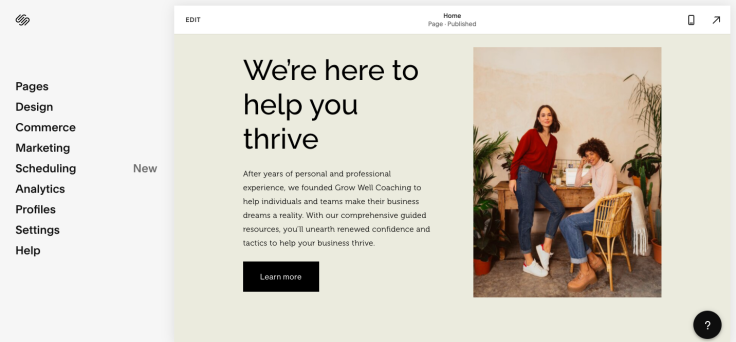 Squarespace Visual editor