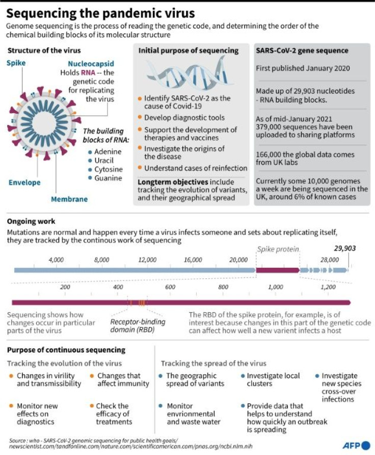 Factfile on the process of gene sequencing, and the mamoth task of applying the technology to the virus at the root of the Covid-19 pandemic.