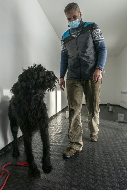 Project head Gustav Hotovy, with his big Schnauzer dog, says the coronavirus changes human tissue, which affects a person's scent signature