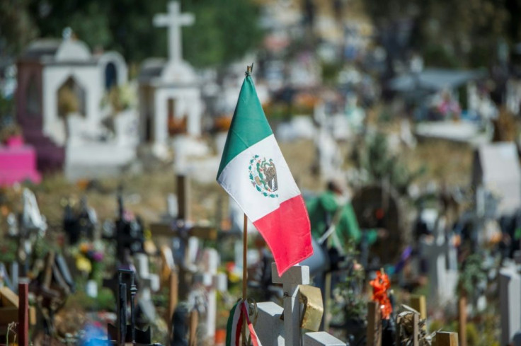 A November 2020 file photo of a Mexican flag in Mexico state, Mexico