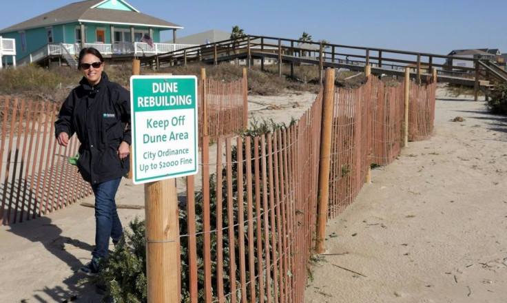 A volunteer walks by a sign about the dune rebuilding program -- using recycled Christmas trees -- in Surfside Beach, Texas