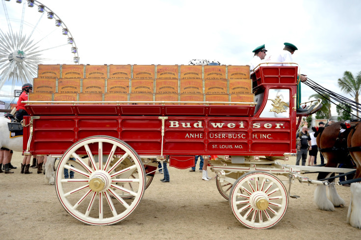 Budweiser wagon and Clydesdale