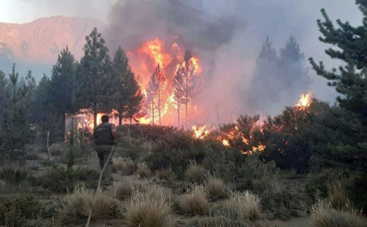 Flames pictured in Rio Negro province, Argentina on January 26, 2021 are part of a wildfire raging in the south