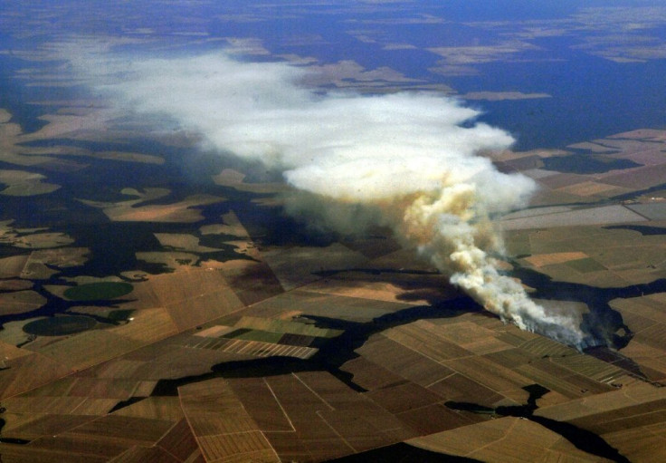 The 600-page review said that all livelihoods on Earth depended on the health of the planet