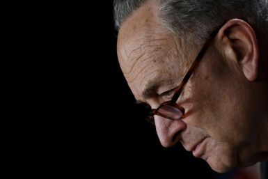 Top Senate Democrat Chuck Schumer said lawmakers would not 'dilute, dither or delay' the passage of a huge economic stimulus