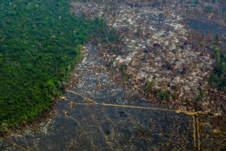 The protection of the Amazon is a concern for EU countries
