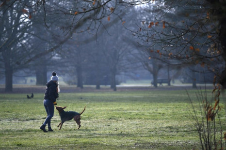 Britain has seen an explosion in the number of dog thefts since the coronavirus pandemic hit