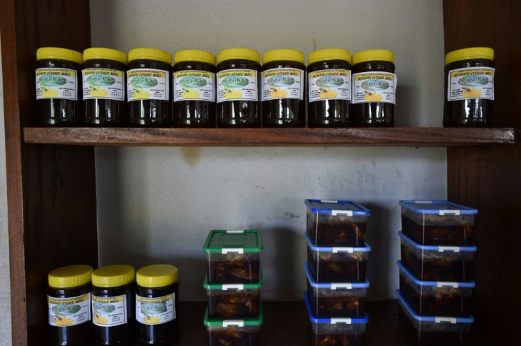Experts say the outlook for beekeeping in Ivory Coast is promising -- the country has a huge array of tropical flowers and trees to provide nectar