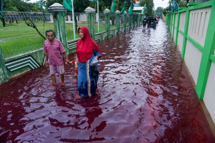 The unique colour came from fabric dye used by several batik factories