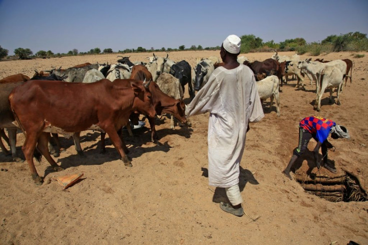 Inter-communal violence in Darfur has often been associated with livestock and access to precious water resources
