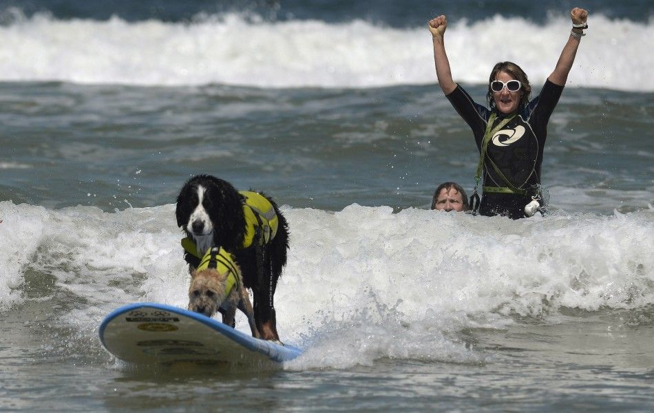 An owner celebrates as two dogs ride on one board during the Loews Surf Dog Competition in Imperial Beach