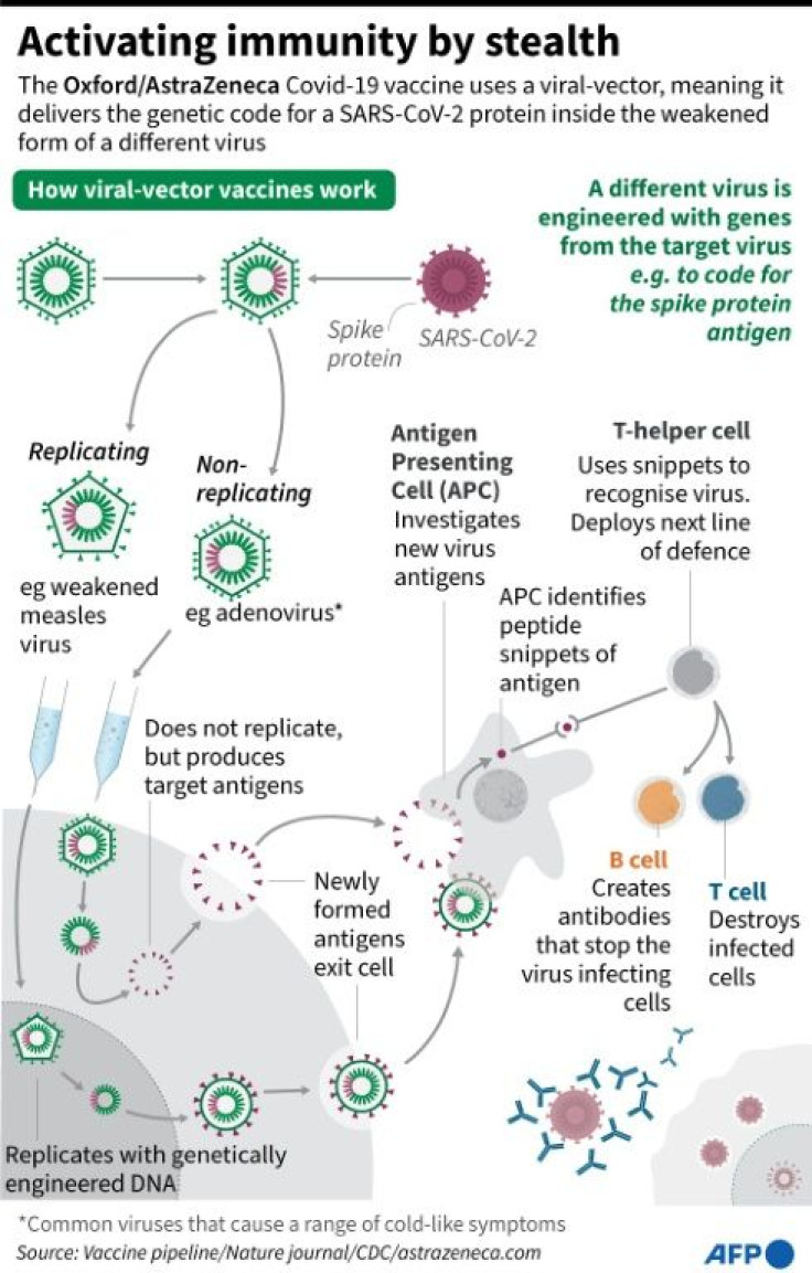 How the Oxford-AstraZeneca vaccine uses adapted viruses to activate the body's immune response against SARS-CoV-2. The vaccine fails to prevent mild and moderate cases of the South African variant, researchers said on February 7.