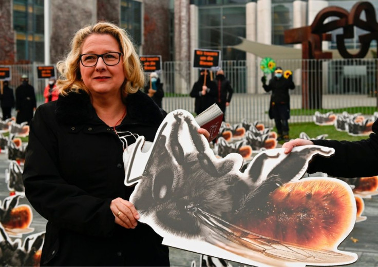 German Environmental Minister Svenja Schulze, pictured holding a cardboard bee, first unveiled the insect protection proposals in 2019