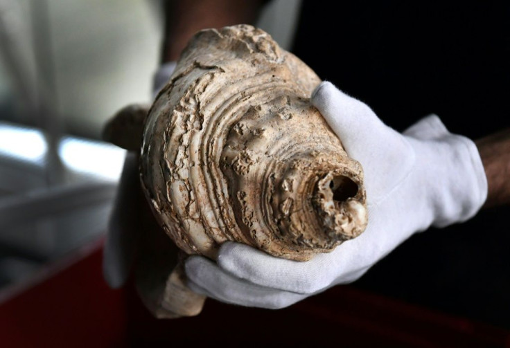 The tip of the shell would not have broken off by accident, the study found