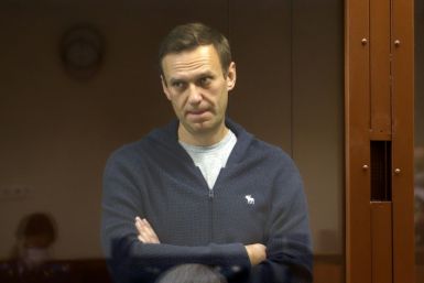 Navalny stood behind a glass cell in the court