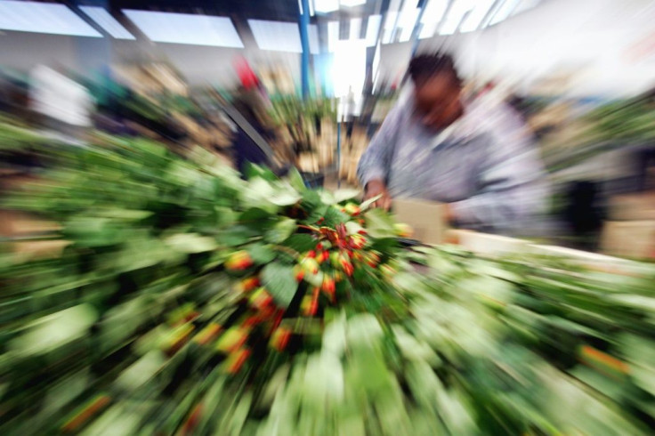 Flower power: Kenya is the world's expert at growing delicate blooms and rushing them to Europe in refrigerated cargo -- the same conditions as for Covid vaccines