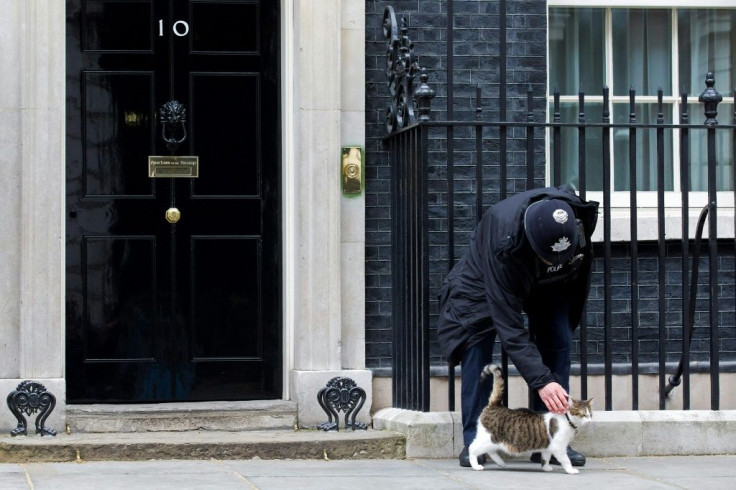 Larry's soft-power diplomacy has 'captured the hearts of the Great British public,' according to Downing StreetÂ