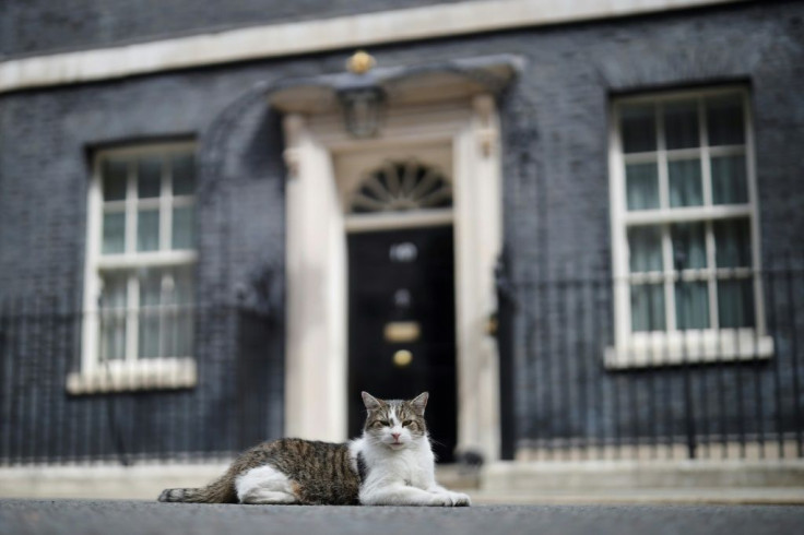 Larry the Cat has ruled the roost in Downing Street for a decade