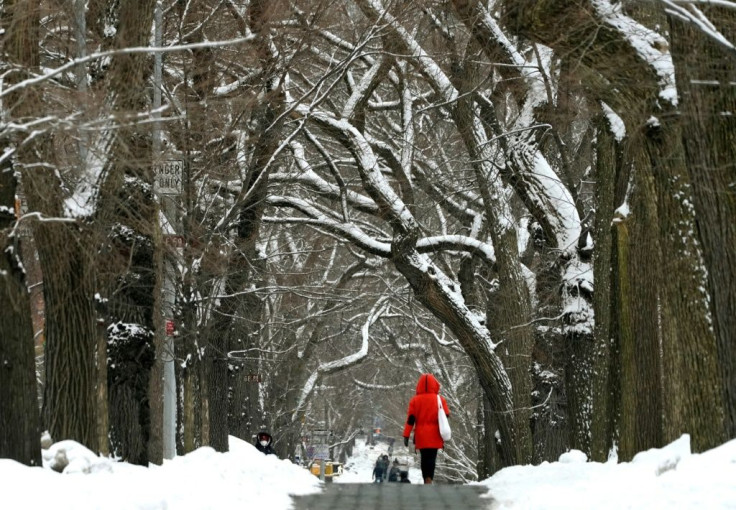 A tree-lined street near Central Park in New York's Manhattan after a snow storm last week