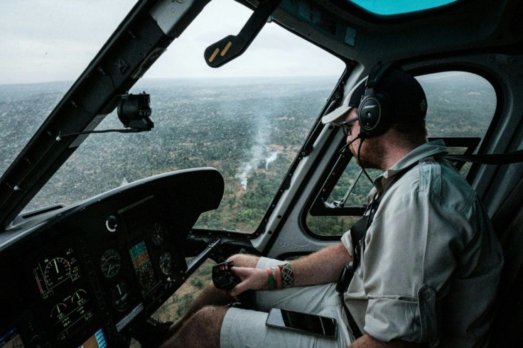 Hunter: Helicopters are sent out to spot swarms in the early morning as the locusts are roosting in trees and bushes. Pilots then call in pesticide-spraying aircraft to kill the insects