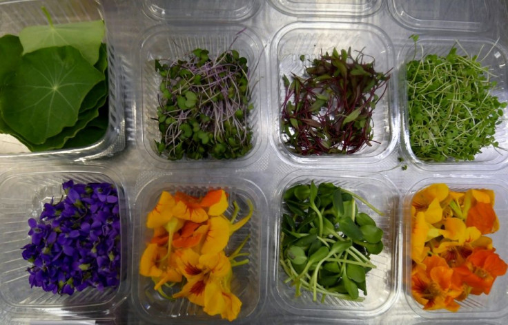 Boxes of edible leaves and flowers are pictured in Tunisian chef Bassem Bizid's kitchen to be used to prepare dishes at a luxury hotel in Gammarth, an upscale northern suburb of the capital Tunis