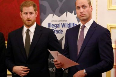 The announcement reportedly caused acrimony between Prince Harry and his elder brother Prince William (r)