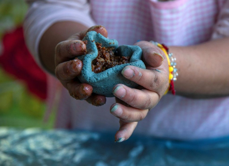 The women sell tortillas, tamales and other maize-based delicacies through social networks