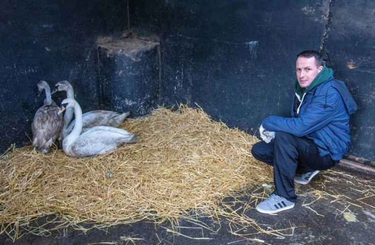 Animal Manager of Wildlife Rehabilitation Ireland, Dan Donoher, said the hospital is preparing for 'orphan season'