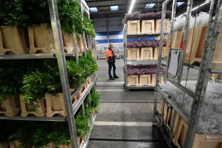 Boutemy is horrified by the 'industrial' flower trade at venues like FloraHolland in the Netherlands