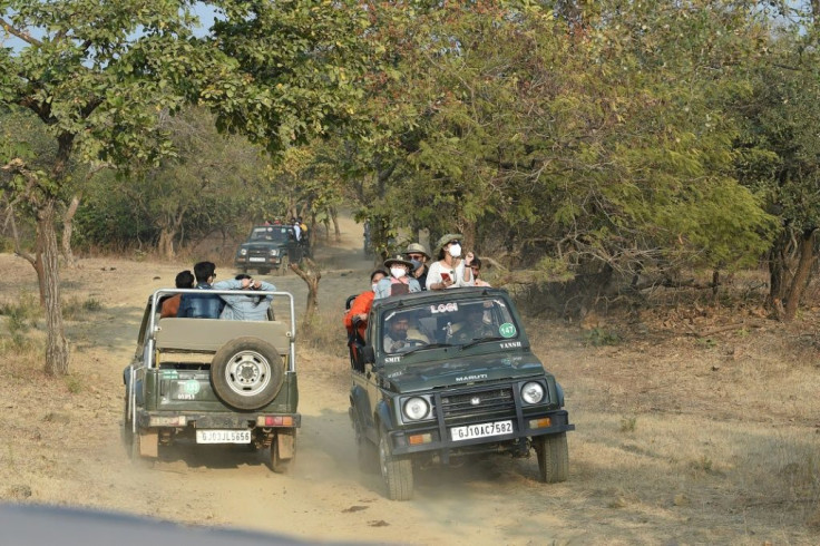 Around 550,000 people visit Gir National Park each year