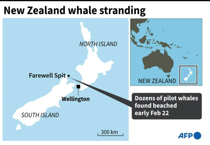 Map of New Zealand locating Farewell Spit where dozens of pilot whales were found beached early Monday.