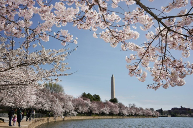 The Tidal Basin, where 'Argentine Firecracker' Fanne Foxe took a plunge in October 1974