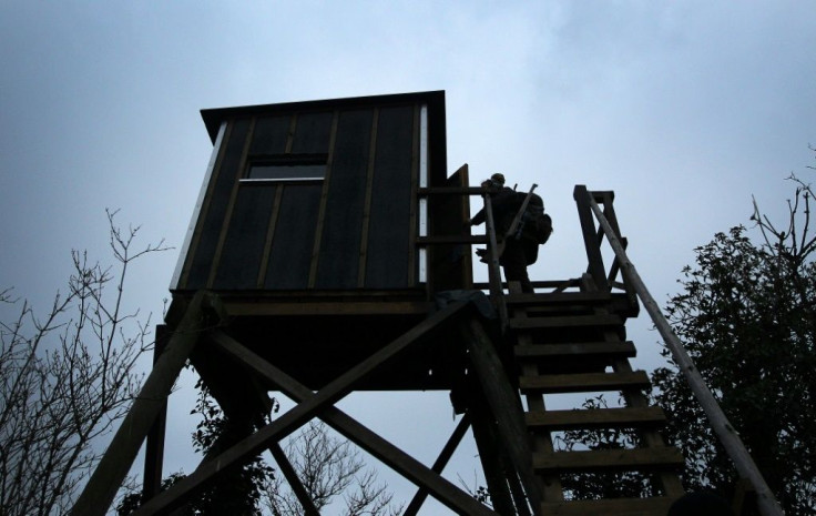 Reis climbs up to a hunting lookout in Aspisheim, western Germany