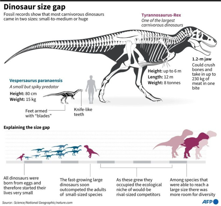 Size gap: how the predominant large carnivorous dinosaurs supressed the diversity of middle-sized dinosaurs