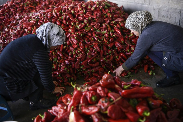 Traditionally, ajvar is prepared in autumn, when the peppers are most abundant, conserved in glass jars and consumed throughout the year.