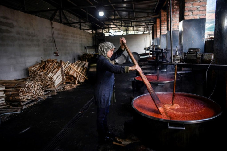 Today there are 60 women working at the 'Krusha' cooperative during the peak ajvar-making season