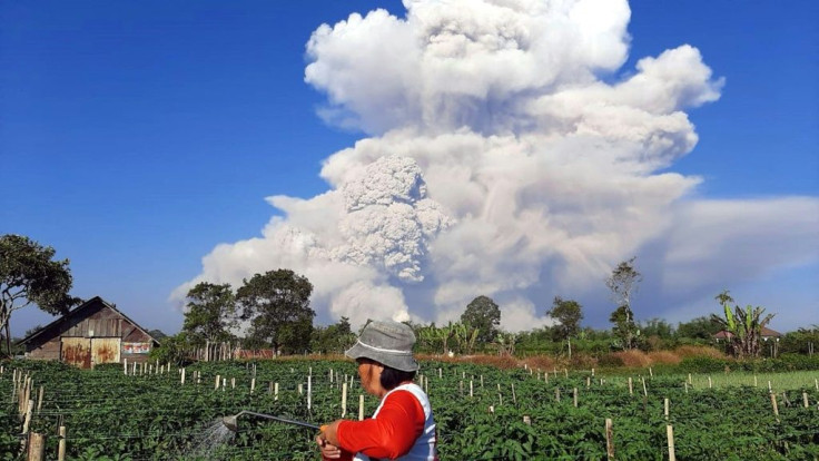 Indonesia's Mount Sinabung erupted on Tuesday morning, spewing out a massive column of smoke and ash